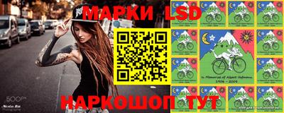 гашик Балахна