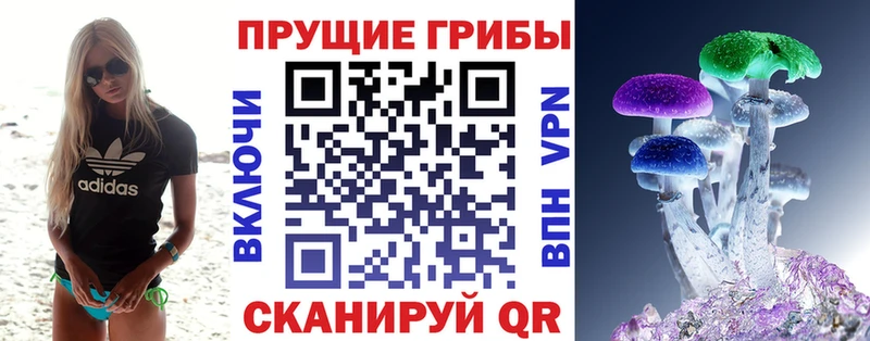 Псилоцибиновые грибы Psilocybine cubensis  сколько стоит  Махачкала 