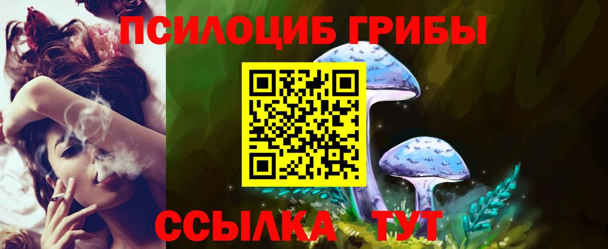 Псилоцибиновые грибы Psilocybe  Псилоцибиновые грибы Cubensis  Вход с VPN  Махачкала 